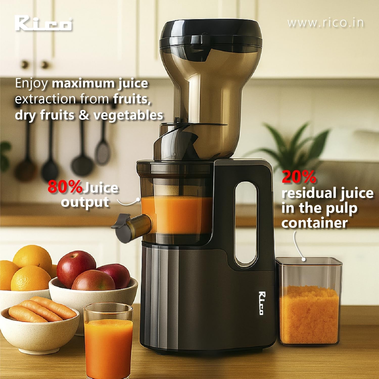 Rico Cold Press Juicer with Ice Cream Maker | All-in-1 Slow Juicer for Fruits, Vegetables, Nut Milk | 10% More Juice, Less Waste | Easy to Clean | Low Noise | Anti-Drip | 5-Year Warranty (Steel Gray)
